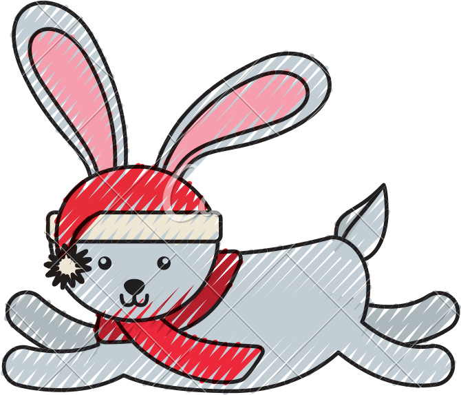 Christmas Rabbit Cartoon - Christmas Rabbit Cartoon (800x800)