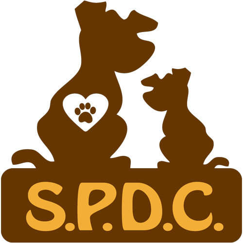 Spdc Rescue Uk - Spdc Rescue Uk (500x500)