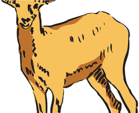 Antelope Clipart Transparent - Antelope Clipart Transparent (640x480)
