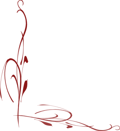 Maroon Border Frame Transparent - Maroon Border Frame Transparent (399x436)