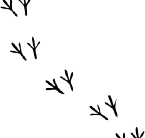 Footprint Clipart Borders - Footprint Clipart Borders (640x480)