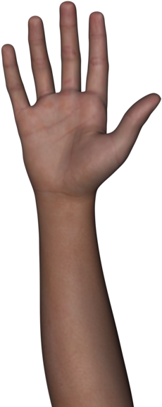 Free Stock Images Body - Free Stock Images Body (600x580)