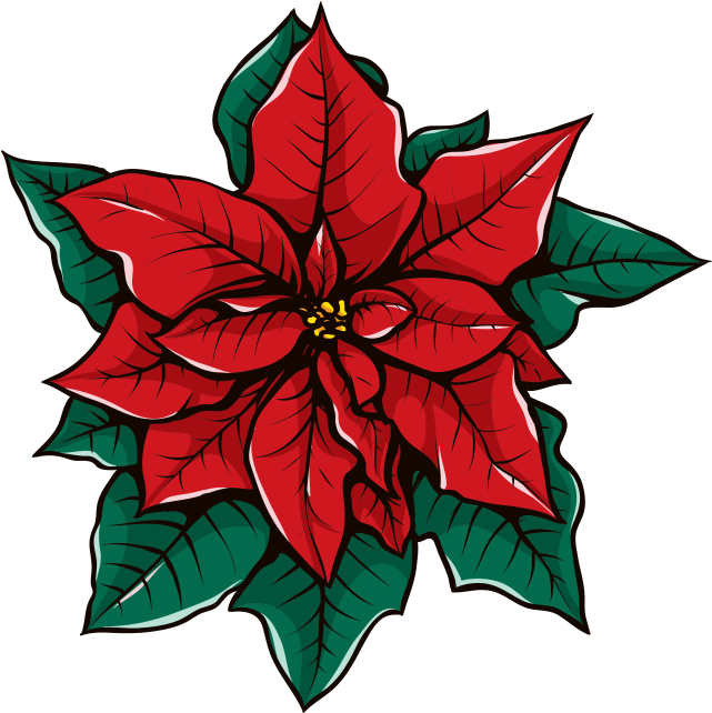 Pointsettas Are Gifted To Community Residents In Local - Pointsettas Are Gifted To Community Residents In Local (640x656)