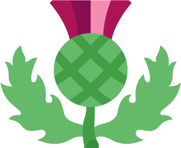 Scotland Clipart Thistle - Scotland Clipart Thistle (640x480)