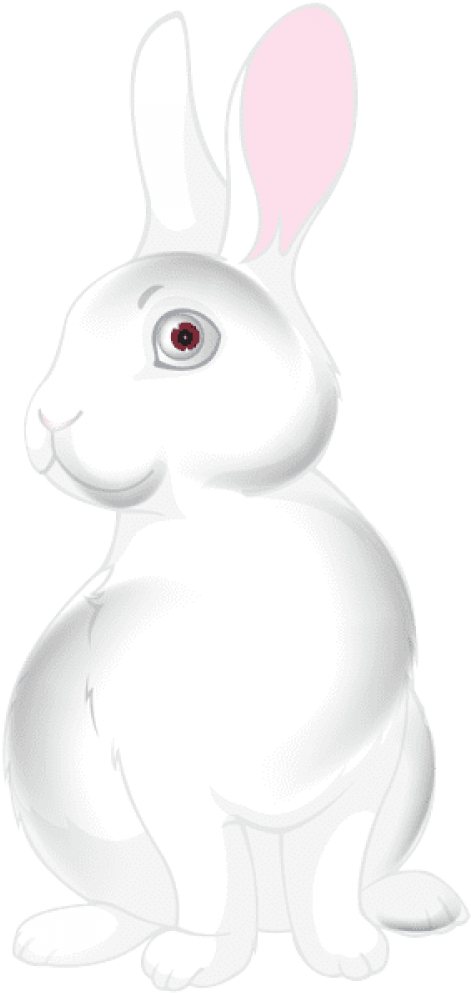 Free Png White Bunny Cartoon Png Images Transparent - Free Png White Bunny Cartoon Png Images Transparent (480x1000)