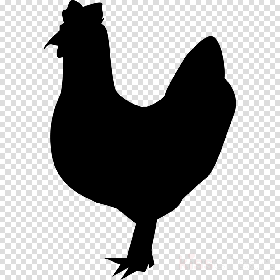 Png Of Chicken Silhouette Clipart Leghorn Chicken Chicken - Png Of Chicken Silhouette Clipart Leghorn Chicken Chicken (900x900)