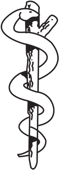 Medical Symbol With One Snake And Tree Branch - Medical Symbol With One Snake And Tree Branch (600x600)