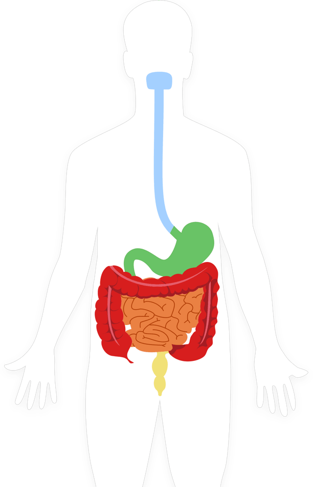 Mygihealth Learning Center - Mygihealth Learning Center (612x950)