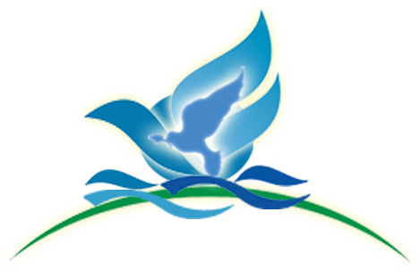 Shalom Jerusalem Tours - Shalom Jerusalem Tours (469x304)