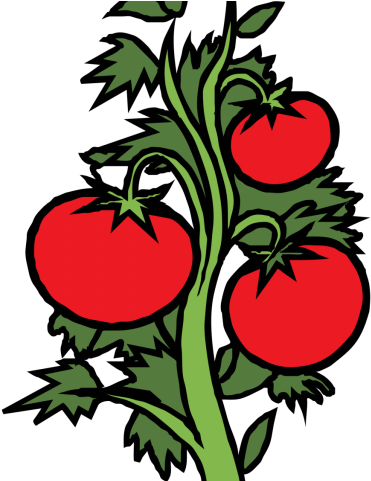 Clipart Library Huge Freebie Download For - Clipart Library Huge Freebie Download For (640x480)