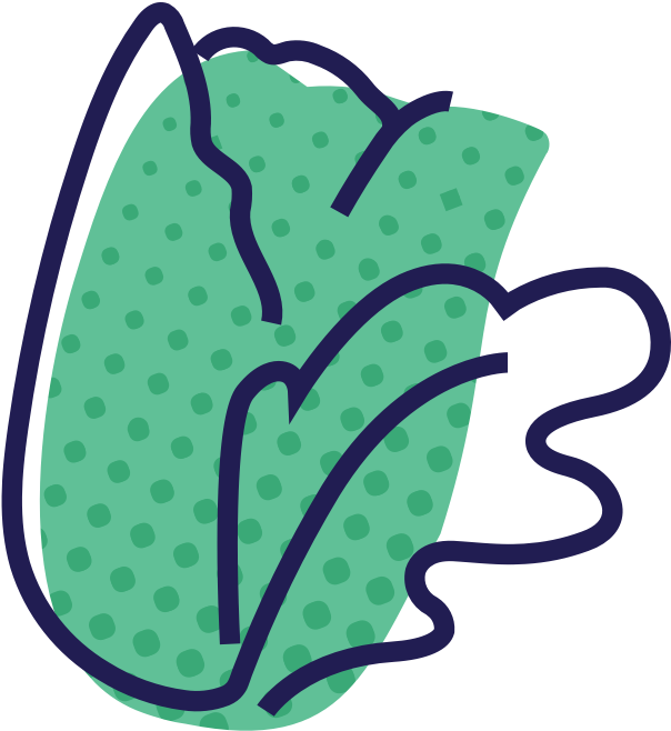 Your Baby Is The Size Of A Head Of Lettuce - Your Baby Is The Size Of A Head Of Lettuce (1100x1100)