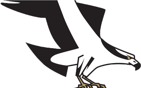 Osprey And Mustangs Postponed Friday Due To Field Conditions - Osprey And Mustangs Postponed Friday Due To Field Conditions (640x360)