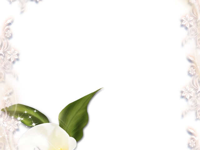 Calla Lily Clipart Memorial Flower - Calla Lily Clipart Memorial Flower (640x480)
