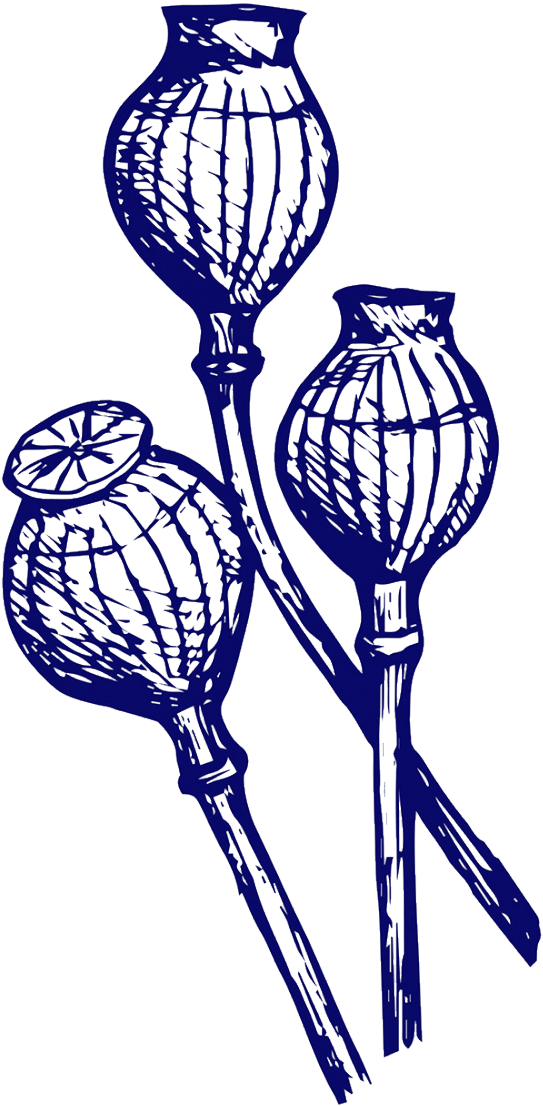 Becoming Addicted To Opiates And Finding Treatment - Becoming Addicted To Opiates And Finding Treatment (650x1136)