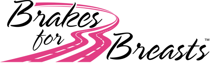 Brakes For Breasts Avon Ohio - Brakes For Breasts Avon Ohio (700x211)