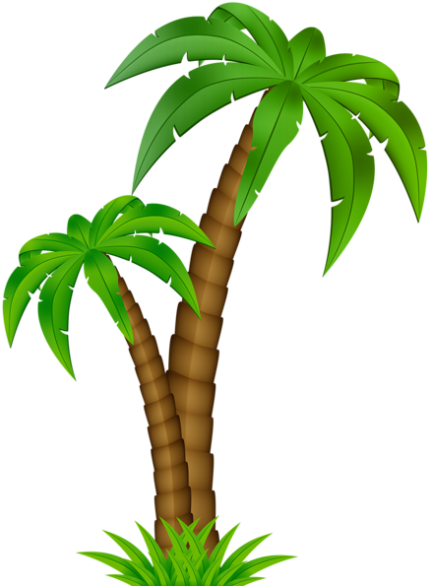 Clip Art Coqueiro Moana Png - Clip Art Coqueiro Moana Png (438x591)