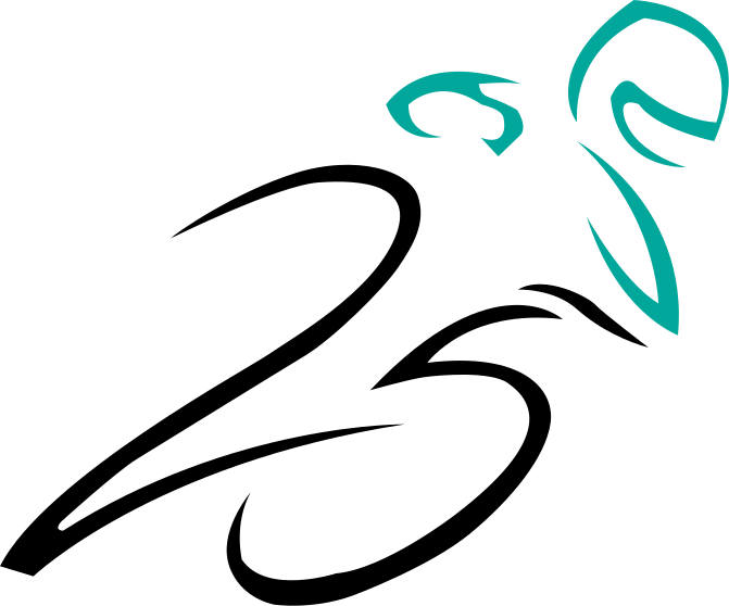 Malaysian Cub Prix 25th Edition Logo - Malaysian Cub Prix 25th Edition Logo (671x558)