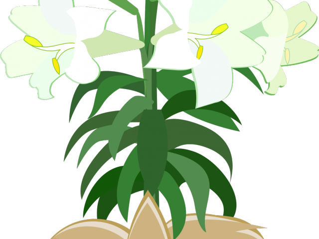 Easter Flower Clipart Holy Week - Easter Flower Clipart Holy Week (640x480)