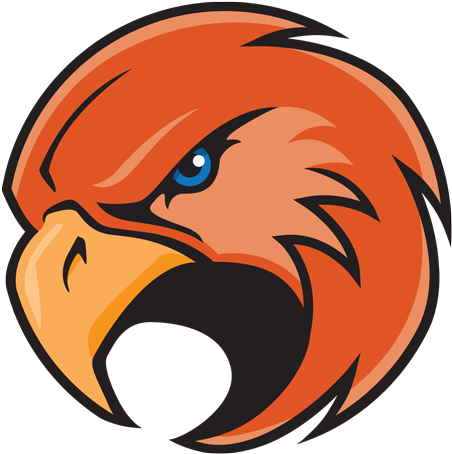 Sports Logos Screensavers User Atlanta Falcons - Sports Logos Screensavers User Atlanta Falcons (495x497)