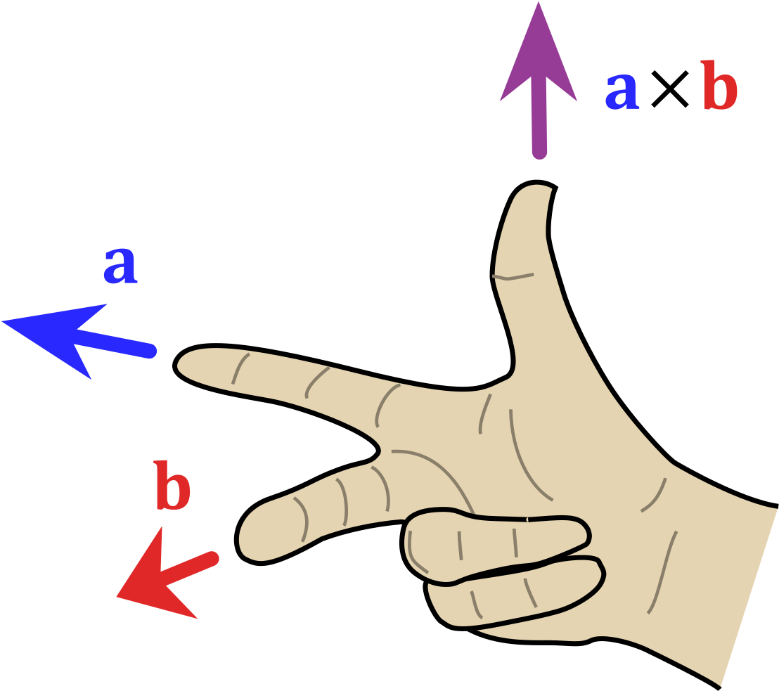 Vector Mirror Hand Holding - Vector Mirror Hand Holding (1200x1086)