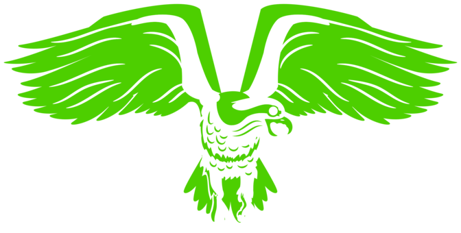 Computer Icons Osprey Download Seattle Seahawks - Computer Icons Osprey Download Seattle Seahawks (672x340)