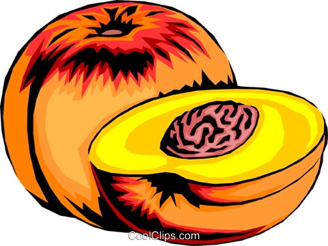 Sliced Peaches Royalty Free Vector Clip Art Illustration - Sliced Peaches Royalty Free Vector Clip Art Illustration (480x360)