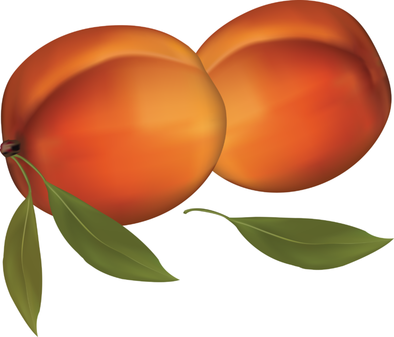 Peach Clipart - Peach Clipart (800x684)