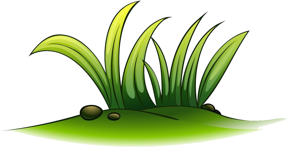 Clip Art A Plant Of Grass Transprent - Clip Art A Plant Of Grass Transprent (1104x633)