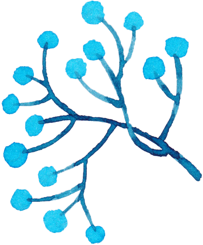 Our Dinner Menu - Our Dinner Menu (653x788)