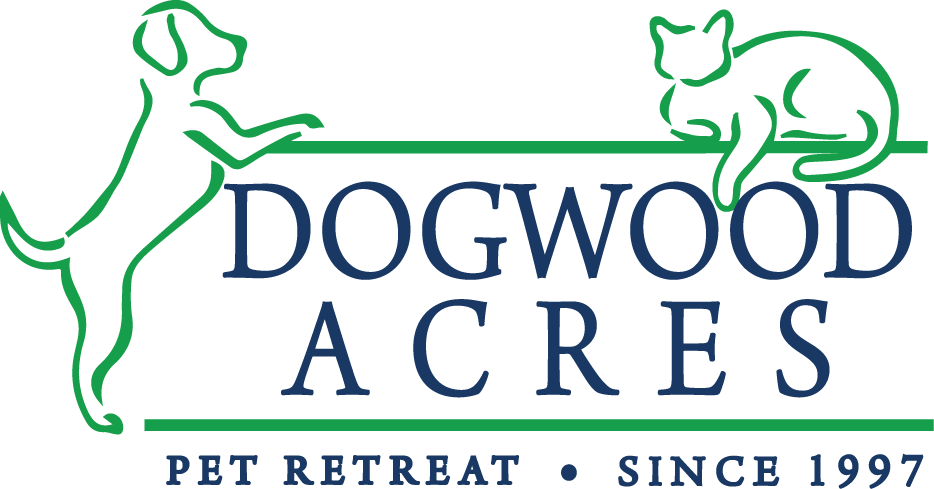 If You Have Any Questions, Please Email Erin Bogan - If You Have Any Questions, Please Email Erin Bogan (934x489)