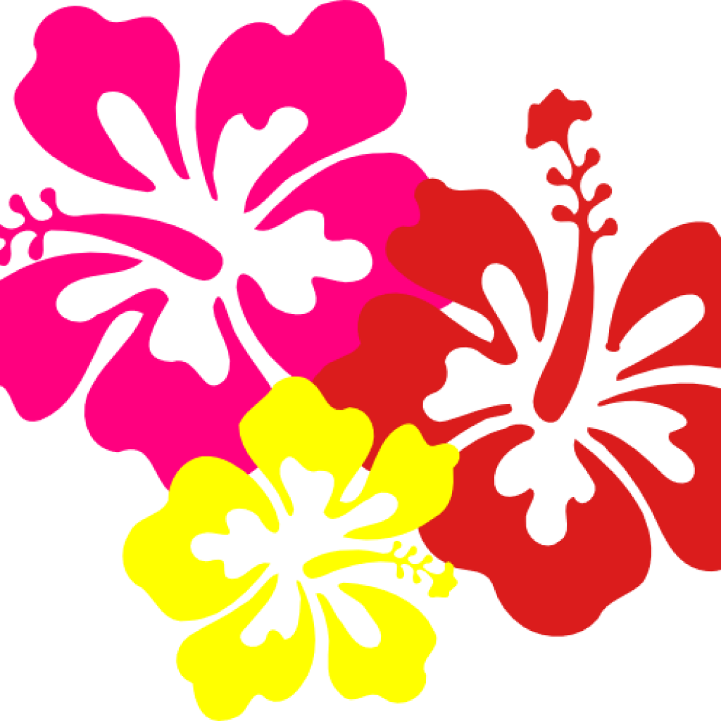 Hawaiian Border Clip Art Hawaiian Flower Clip Art Borders - Hawaiian Border Clip Art Hawaiian Flower Clip Art Borders (1024x1024)