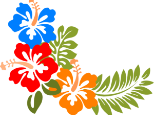 Border Clipart Hibiscus - Border Clipart Hibiscus (640x480)