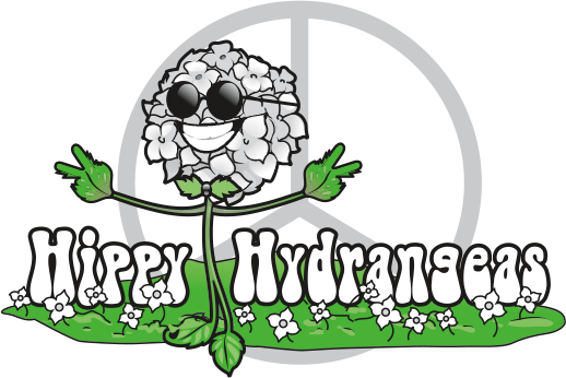 Published December 13, 2017 At 518 × 346 In Hippy Hydrangeas - Published December 13, 2017 At 518 × 346 In Hippy Hydrangeas (518x346)