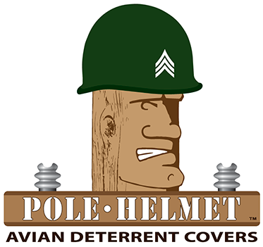 Pole Helmet Logo Draftb - Pole Helmet Logo Draftb (400x400)