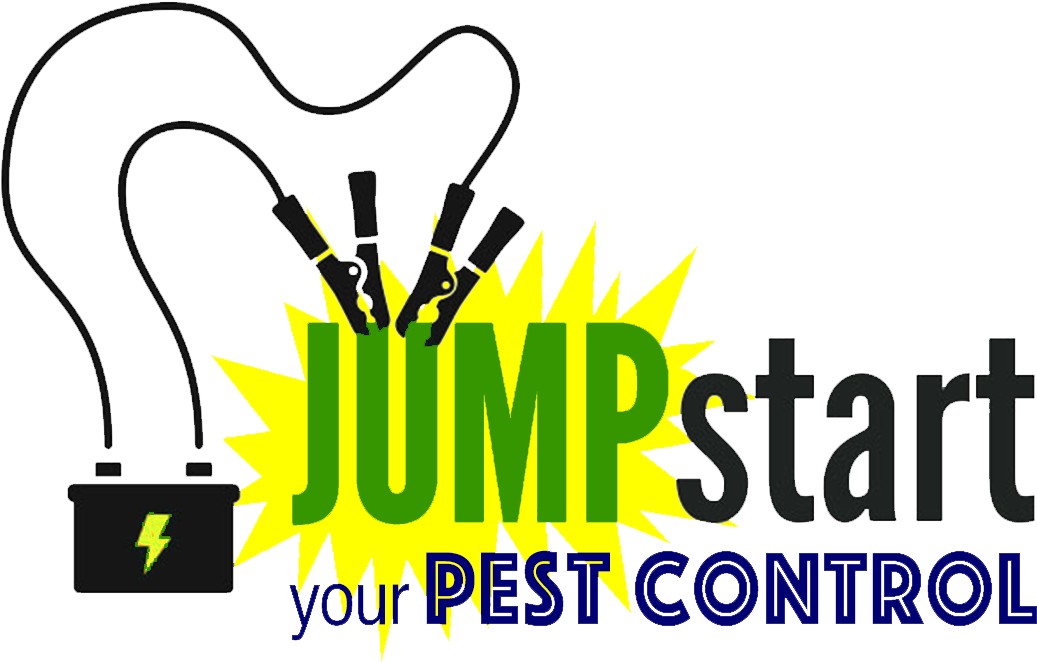 It's Vital To Jump Start Your Service By Doing An Initial - It's Vital To Jump Start Your Service By Doing An Initial (1097x695)