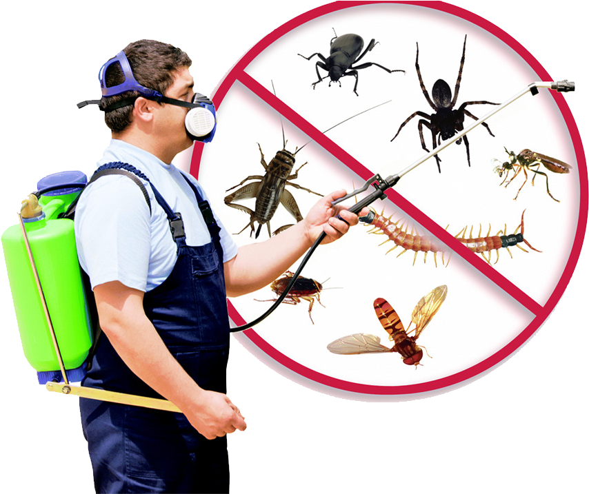 Pest Control Supplies In Bradenton, Brandon And Sarasota - Pest Control Supplies In Bradenton, Brandon And Sarasota (1000x716)