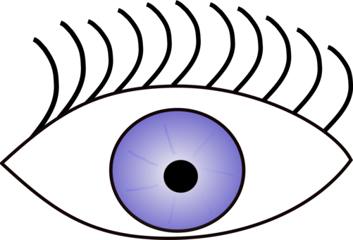 Googly Eyes Human Eye Eye Color Visual Perception - Googly Eyes Human Eye Eye Color Visual Perception (501x340)