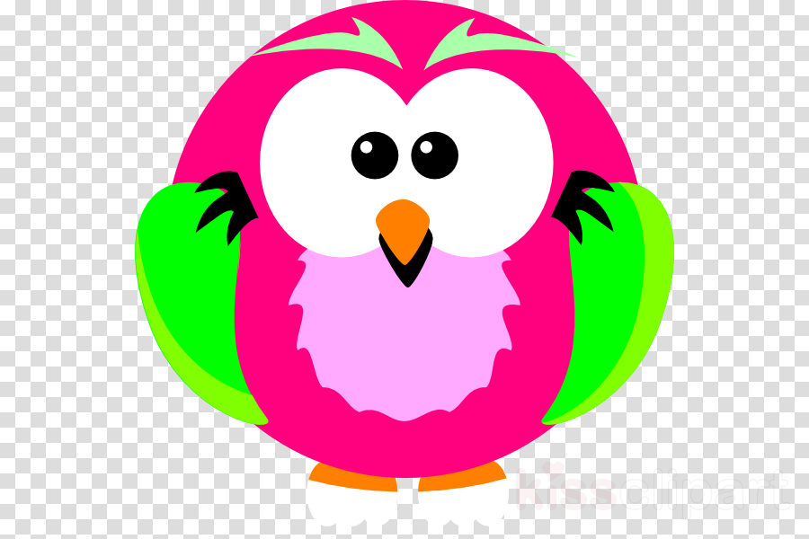 Owl Png Pink And Green Png Clipart Owl Clip Art - Owl Png Pink And Green Png Clipart Owl Clip Art (900x600)