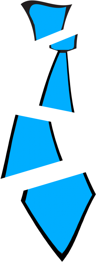 No Raiden Noooooooooo - No Raiden Noooooooooo (545x1024)