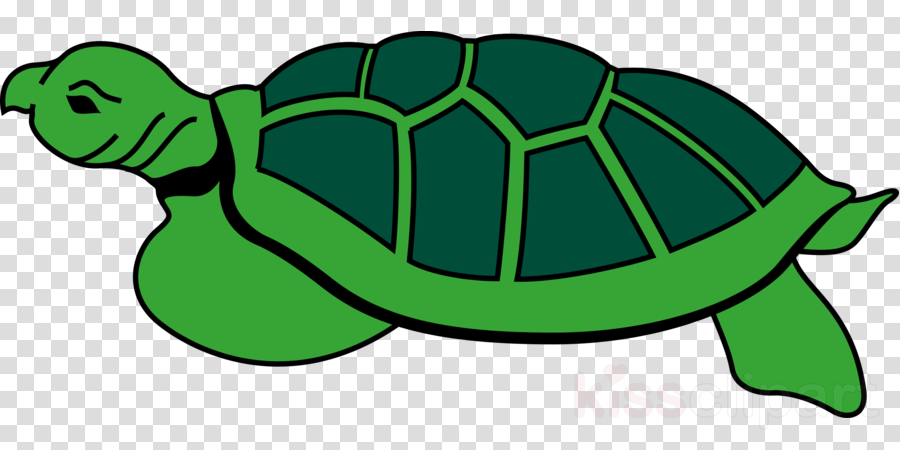 Kura Kura Vector Clipart Turtle Clip Art - Kura Kura Vector Clipart Turtle Clip Art (900x450)