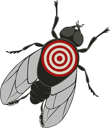 Freeuse Stock Flies Clipart Mosca - Freeuse Stock Flies Clipart Mosca (360x417)