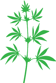 The Finest Mother Earth Has To Offer Us - The Finest Mother Earth Has To Offer Us (600x600)