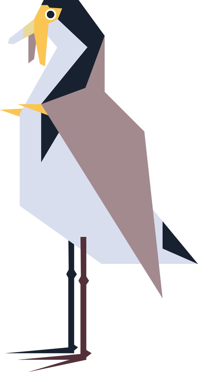 A Dapper Dino On Twitter Masked Lapwings - A Dapper Dino On Twitter Masked Lapwings (639x1200)