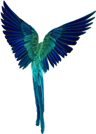 Fuckity Bye - Fuckity Bye (372x483)