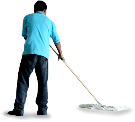 Everglades Welcome To Survey - Everglades Welcome To Survey (664x433)