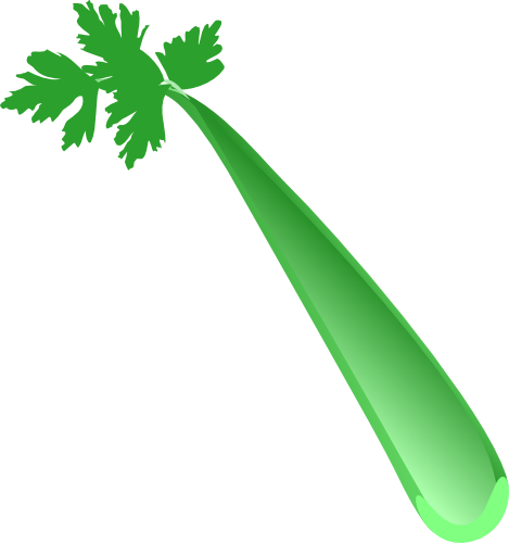 Celery Vector - Celery Vector (469x500)