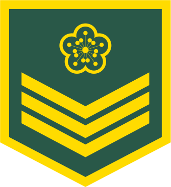 Taiwanese Specialist Rank Insignia - Taiwanese Specialist Rank Insignia (340x373)