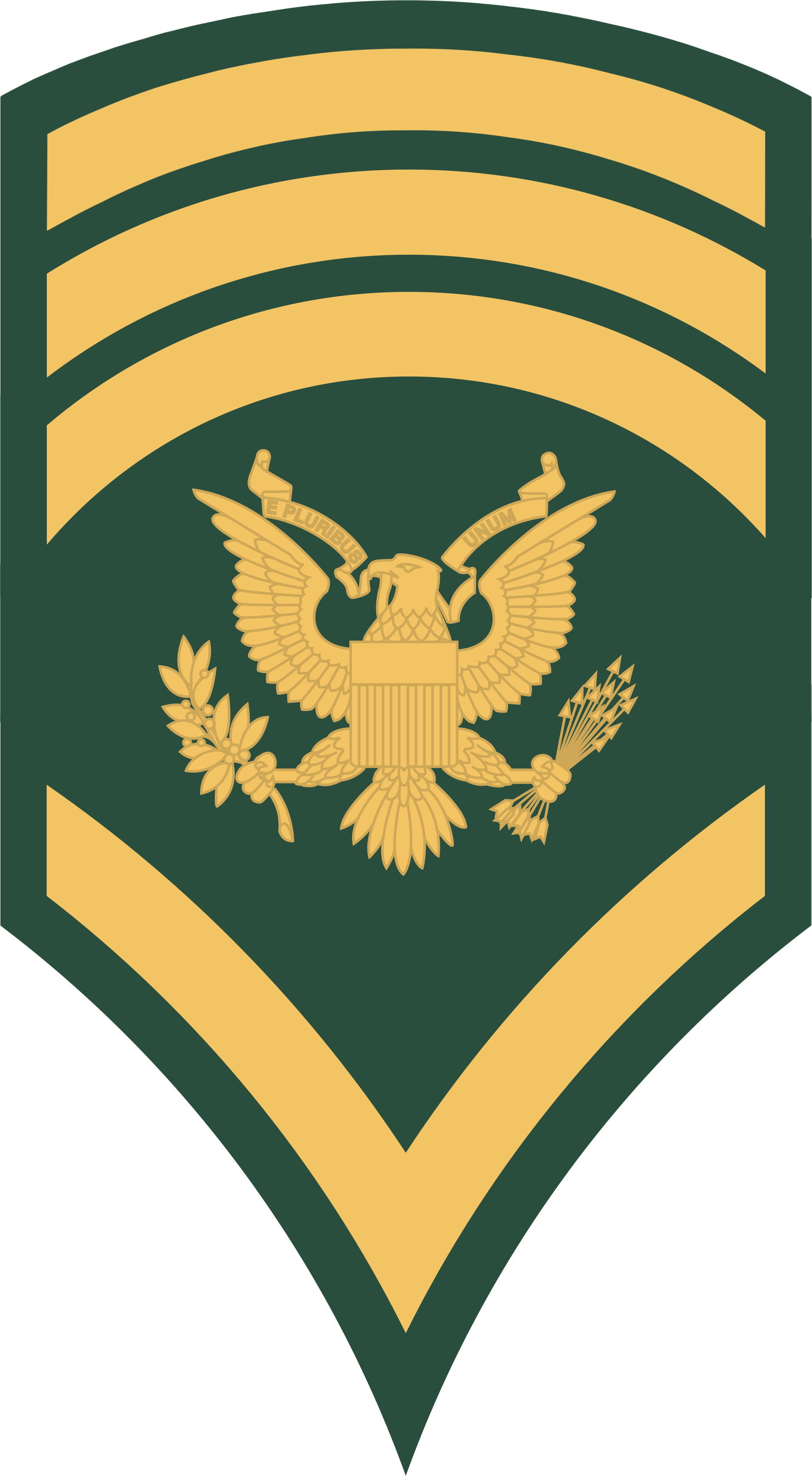 Army Enlisted Insignia - Army Enlisted Insignia (1871x3401)