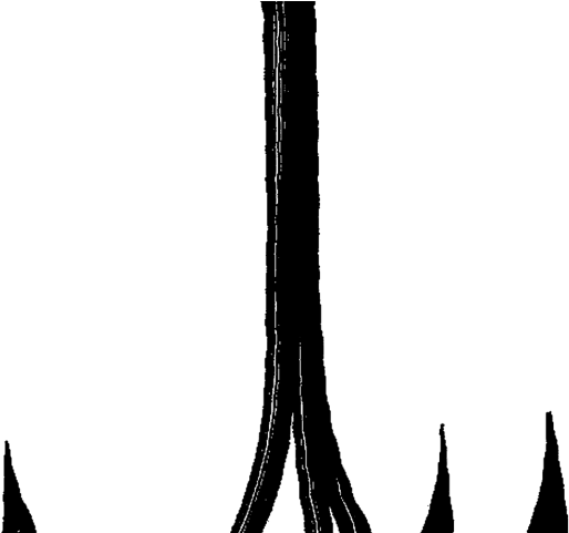 Hook Clipart Vintage Fishing - Hook Clipart Vintage Fishing (640x480)