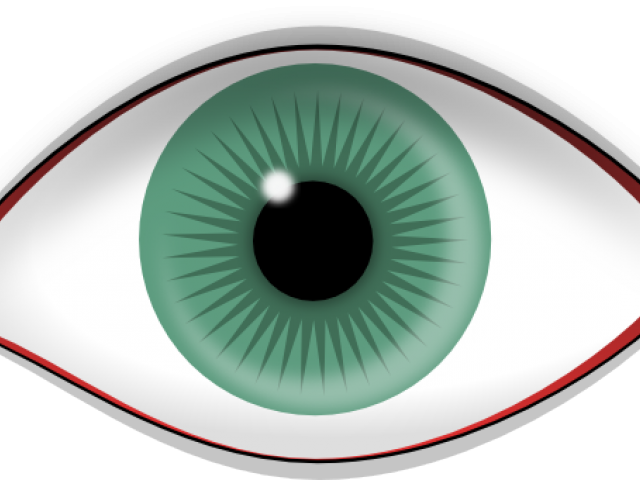 Eyelash Clipart File - Eyelash Clipart File (640x480)